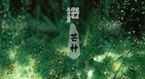 【二十四節(jié)氣灸】芒種節(jié)氣，培土補(bǔ)脾、養(yǎng)陰生津！艾灸這些穴位事半功倍！
