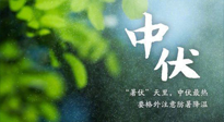 【三伏養(yǎng)生】至熱中伏，吃三樣，喝三樣，三大禁忌千萬別犯，小心落下病根！