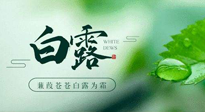 【二十四節(jié)氣灸】白露涼爽，養(yǎng)心肝脾胃、滋陰潤肺是關(guān)鍵！